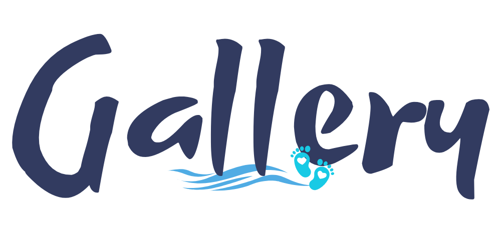 Gallery Seevoetjies